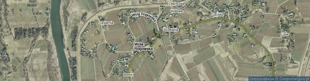 Zdjęcie satelitarne Wola Rogowska ul.
